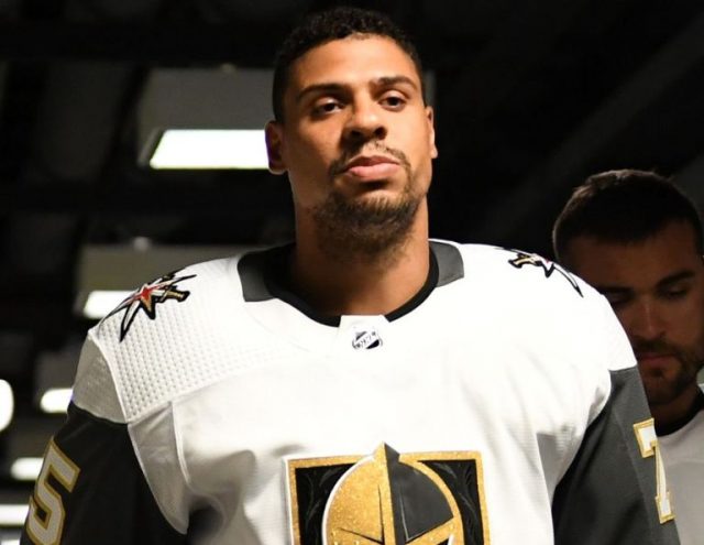 Ryan Reaves Biography, Wife, Career at NHL, Contract and Other Facts