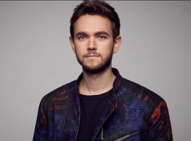 Who Is Zedd, What Is His Net Worth? His Girlfriend And Other Facts
